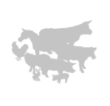 logo ranchito 1