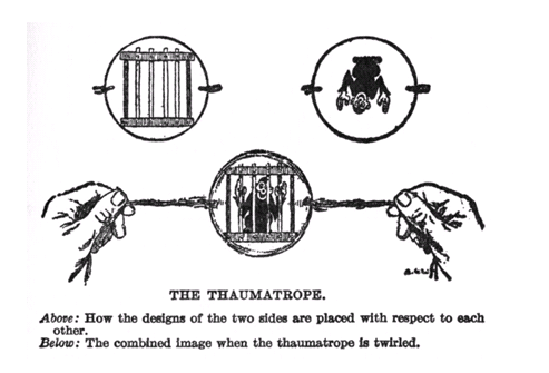 THE THAUMATROPE