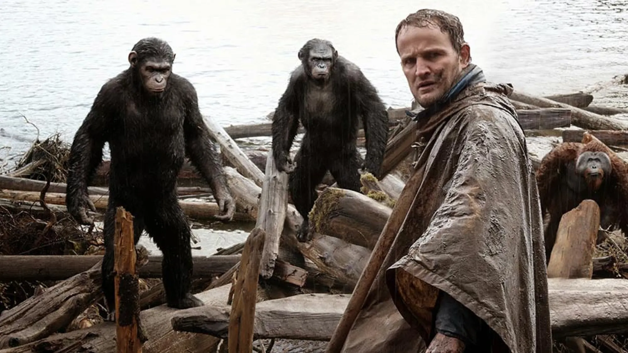 El planeta dels simis: l'alba, Chernin Entertainment, TSG Entertainment, 2014