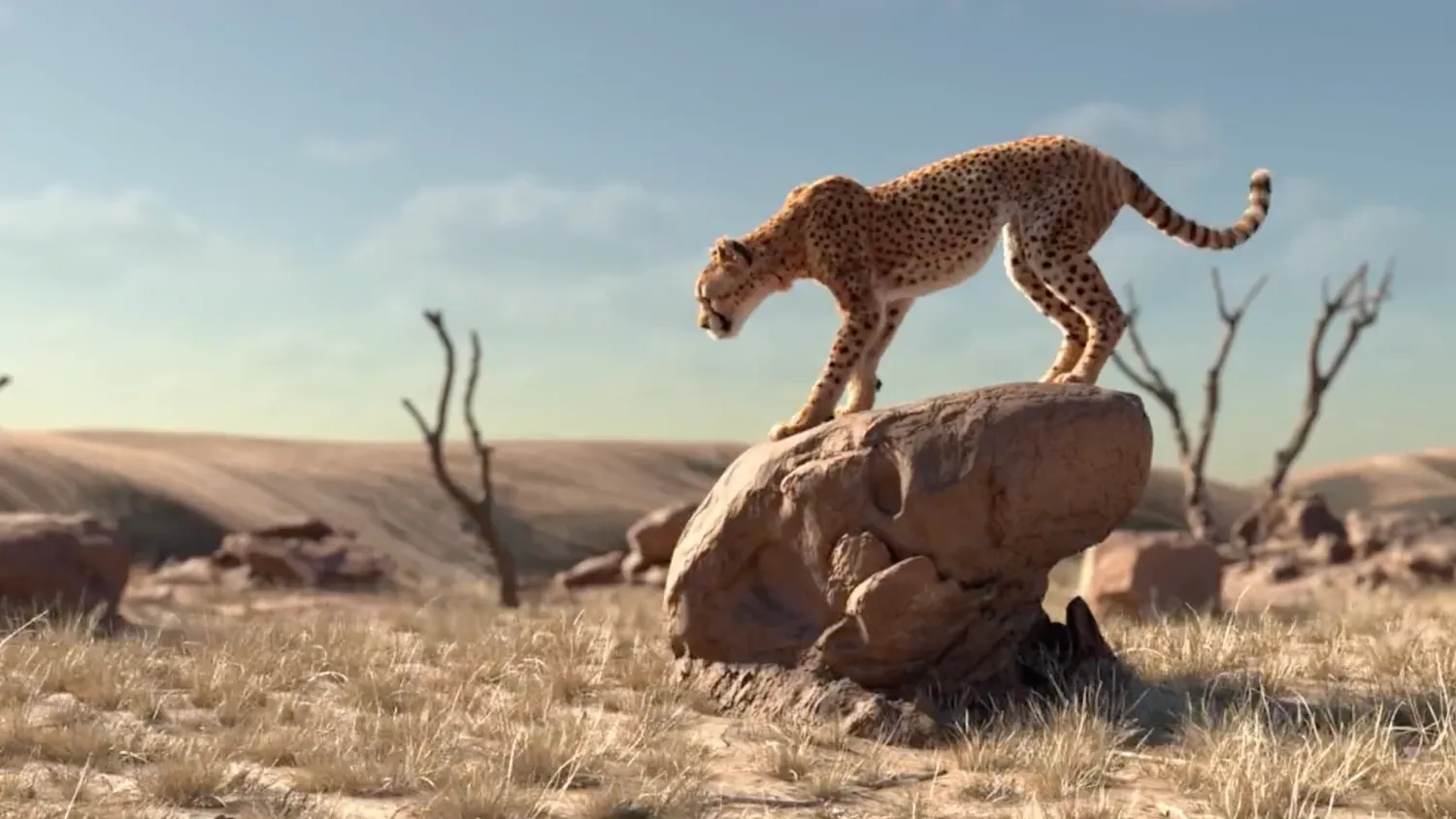 caratulas-showcase-animacion-3d5
