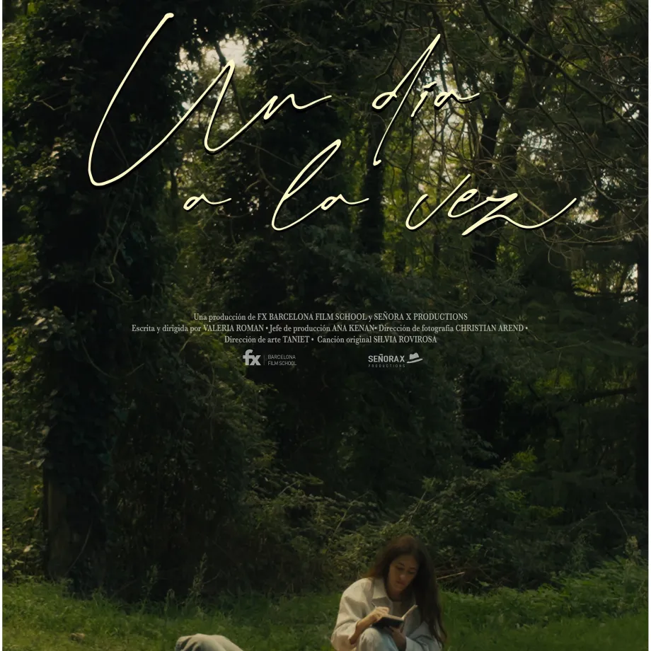 poster_udalv